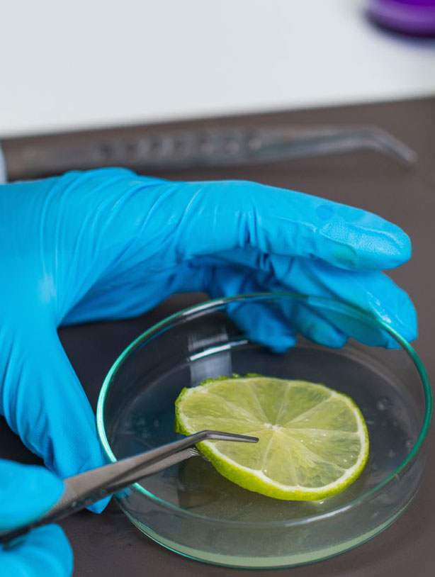 Food safety and quality control