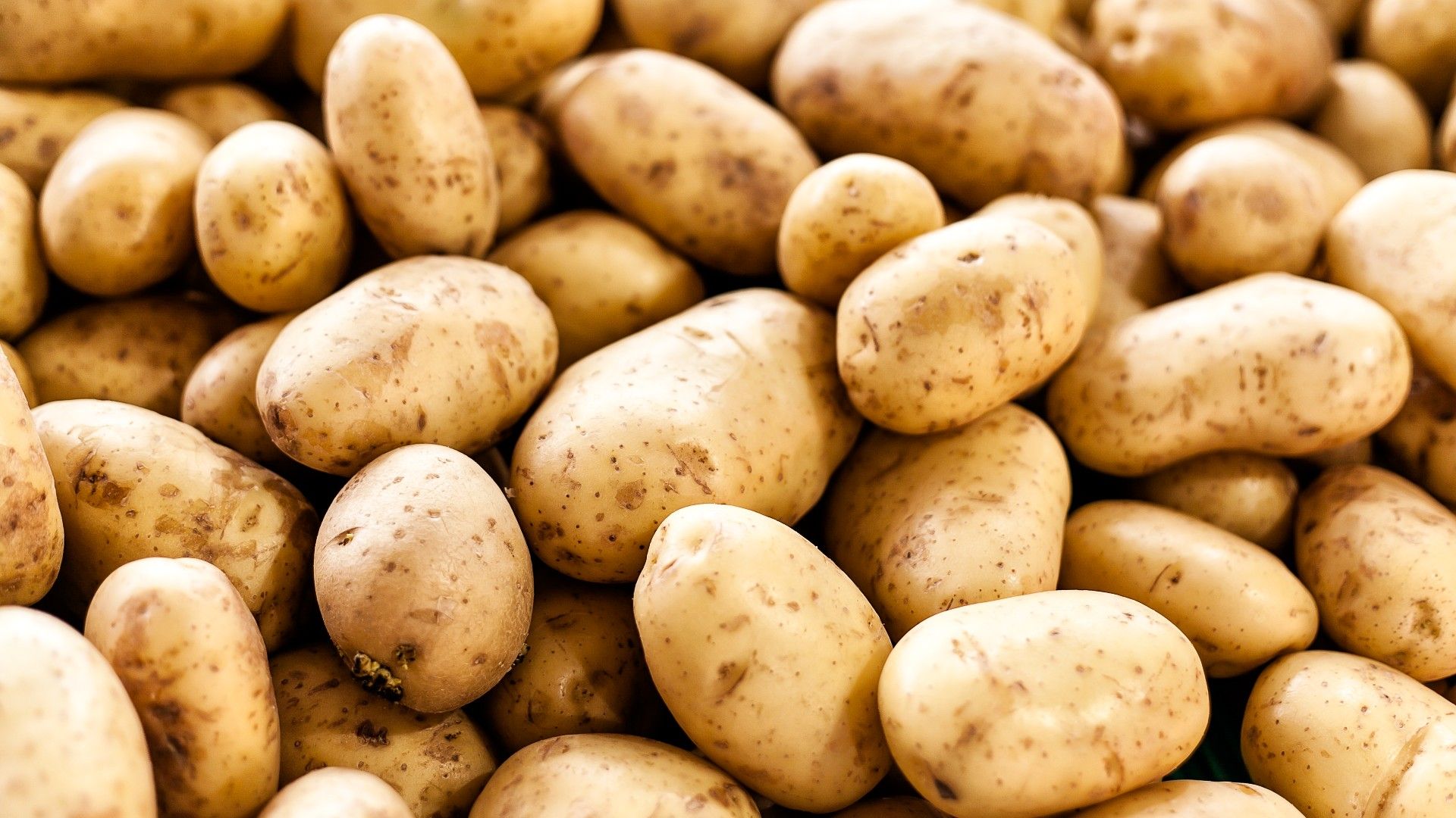 Fresh potatoes